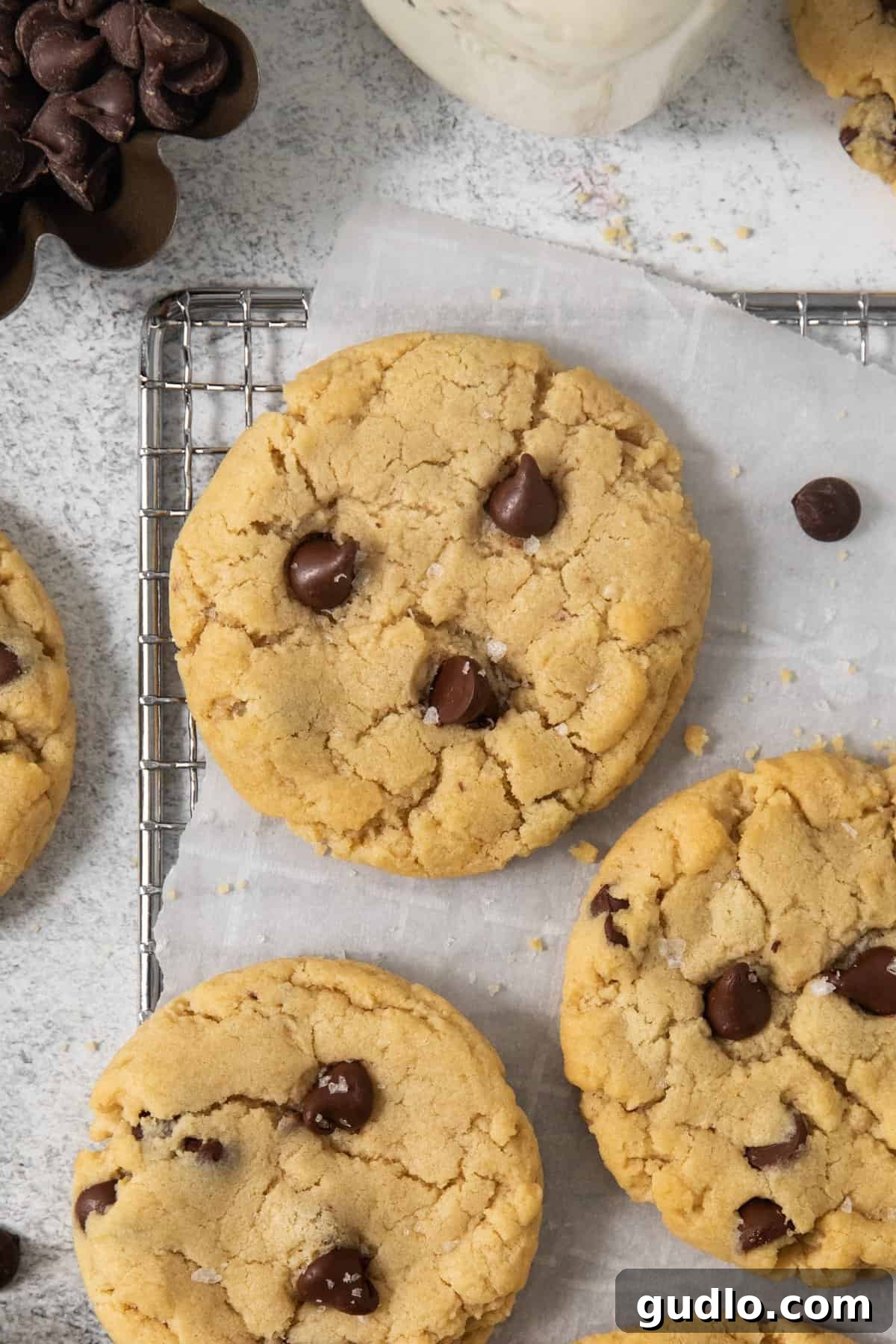 Decadent Eggless Chocolate Chip Delights 5 Close-up of freshly baked egg-free chocolate chip cookies resting on a wire rack covered with parchment paper. A bowl of chocolate chips and a jar of ingredients sit in the background.