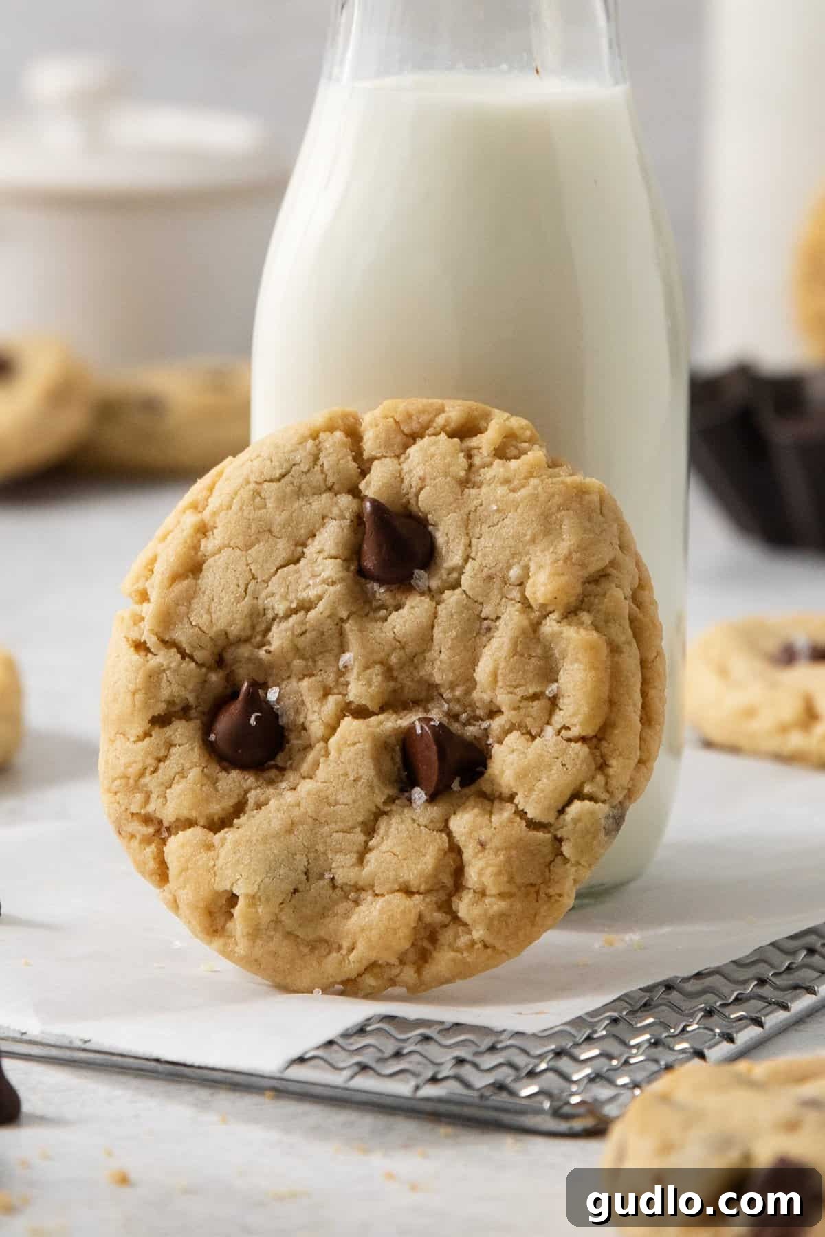Decadent Eggless Chocolate Chip Delights 6 An egg-free chocolate chip cookie is propped against a glass bottle of milk. Several more cookies and baking racks are in the background.