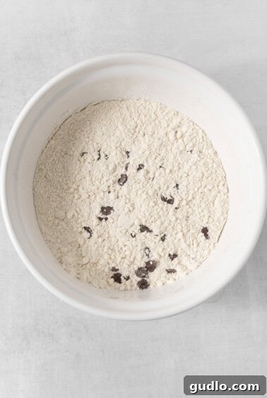 Decadent Eggless Chocolate Chip Delights 8 A white bowl is filled with a mixture of light-colored flour and small, dark chunks, likely chocolate. This blend suggests the beginnings of egg-free chocolate chip cookies. The surface is unevenly distributed and the bowl rests on a light-colored surface.