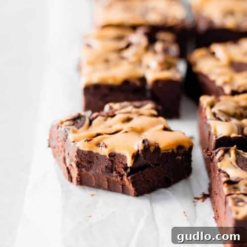 Peanut Butter Swirl Cream Cheese Fudge, a rich and creamy dessert