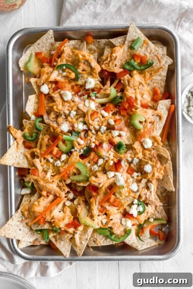 A baking sheet full of freshly baked Buffalo Chicken Nachos, hot and bubbly with melted cheese, ready for the final garnish of fresh toppings.