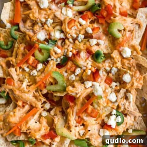 Buffalo chicken nachos baked to perfection with melted cheese and fresh toppings, served on a rustic baking sheet, glistening with spicy flavor.