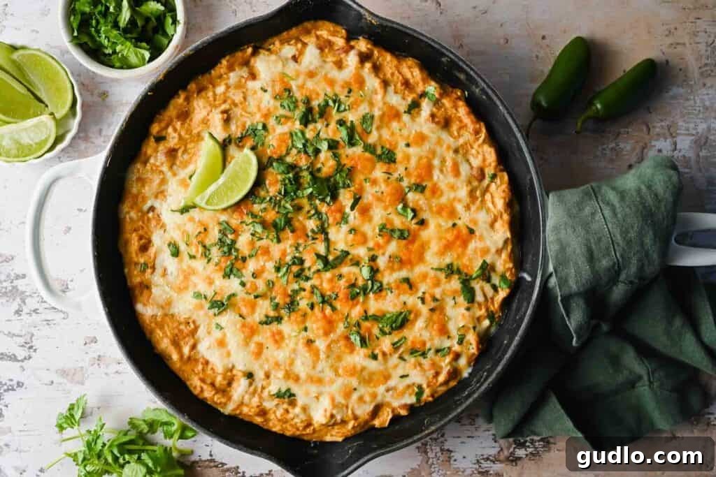 A perfectly baked white chicken enchilada dip in a black cast-iron skillet, topped with melted golden-brown cheese and fresh cilantro, ready to be served.