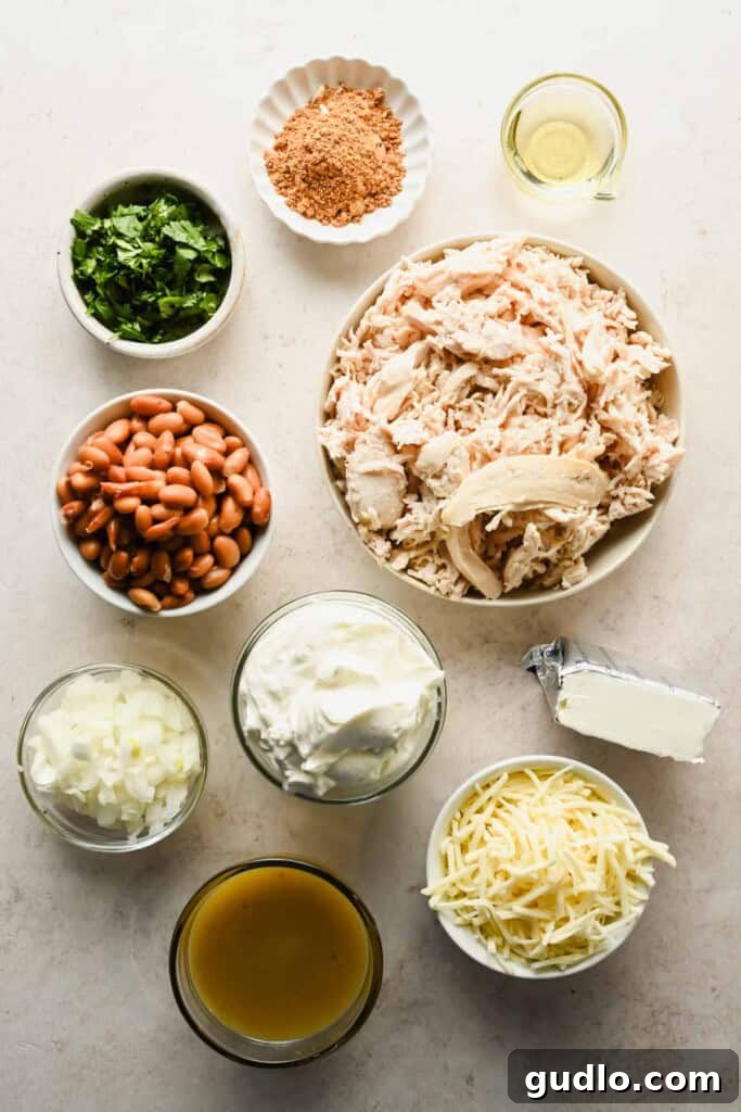 All the ingredients for white chicken enchilada dip arranged neatly in bowls, including chicken, beans, cheese, sour cream, and spices.