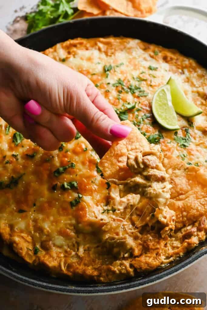 A hand dipping a tortilla chip into the finished, cheesy and delicious white chicken enchilada dip.