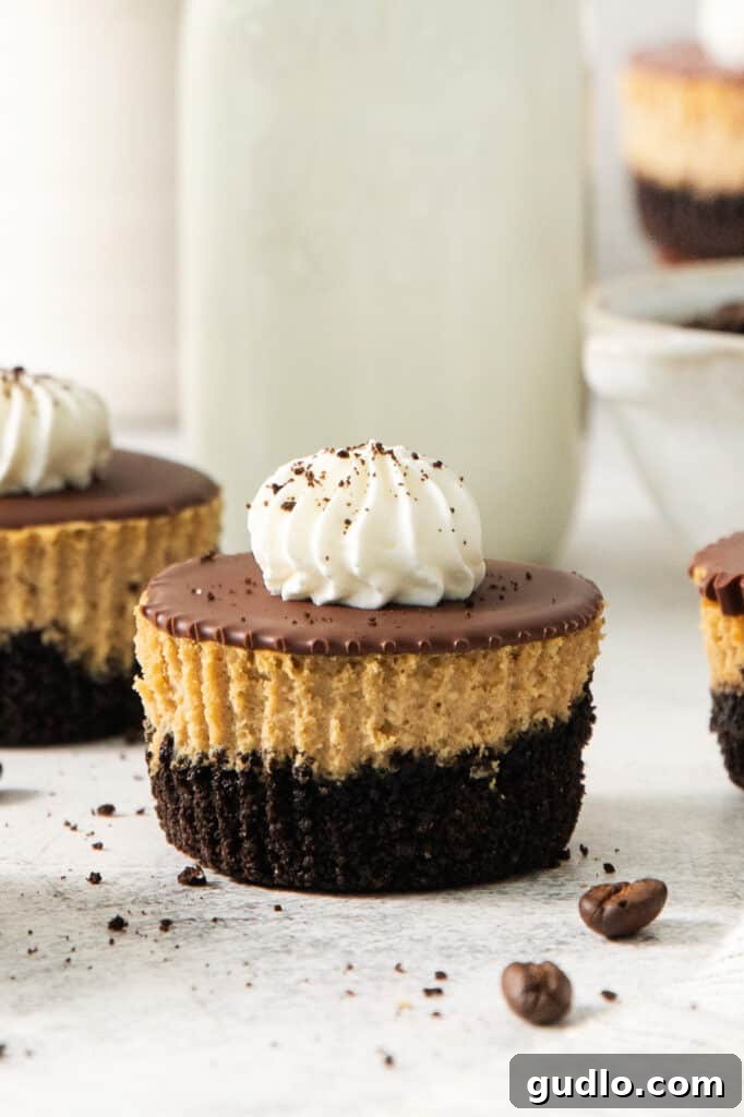 Mini Espresso Cheesecake Cups: No-Bake Coffee Dessert 2 Espresso cheesecake cup with Oreo crust, chocolate ganache, and a swirl of whipped cream dusted with espresso crumbs.