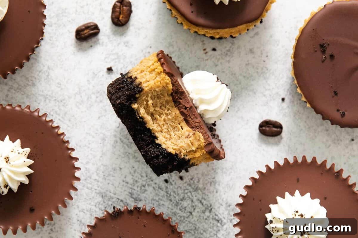 Mini Espresso Cheesecake Cups: No-Bake Coffee Dessert 6 Overhead view of espresso cheesecake cups with one cut in half showing the Oreo crust, espresso filling, and chocolate ganache layers.