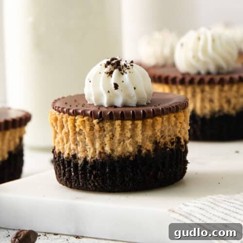 Mini Espresso Cheesecake Cups: No-Bake Coffee Dessert 7 Espresso cheesecake cups with Oreo cookie crust, chocolate ganache, and whipped cream on a marble serving board.