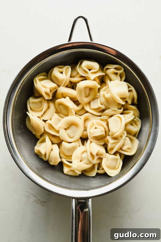Cooked cheese tortellini, perfect for a refreshing tortellini caesar salad, draining in a metal colander over a white surface.