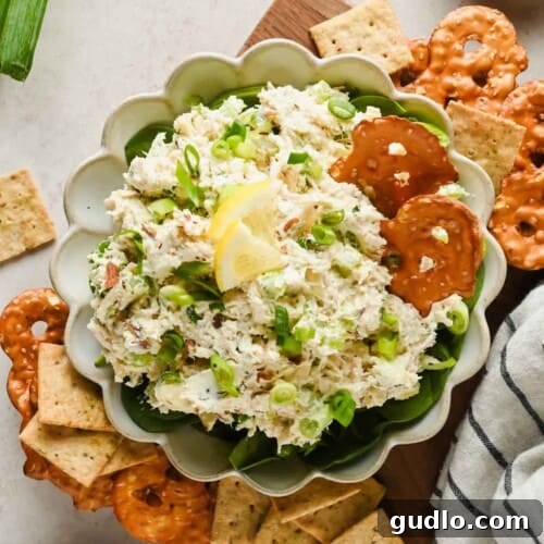 A bowl of chicken salad spread garnished with scallions and lemon, served with pretzel crisps and square crackers on the side.